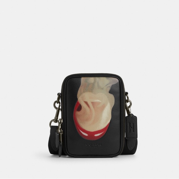 NWT Coach Outlet Coach X Tom Wesselmann Stanton Crossbody - Picture 5 of 5